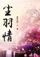 塵羽情