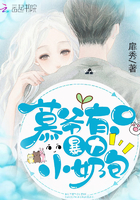 慕爺有隻暴力小奶包