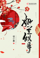 如蘭似月