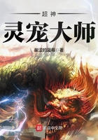 超神靈寵大師