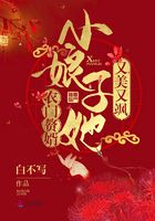 農門贅婿：小娘子她又美又颯