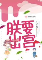 朕要出宮