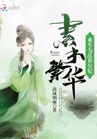 重生為亂世皇妃：素手繁華