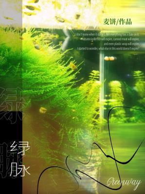 綠脈