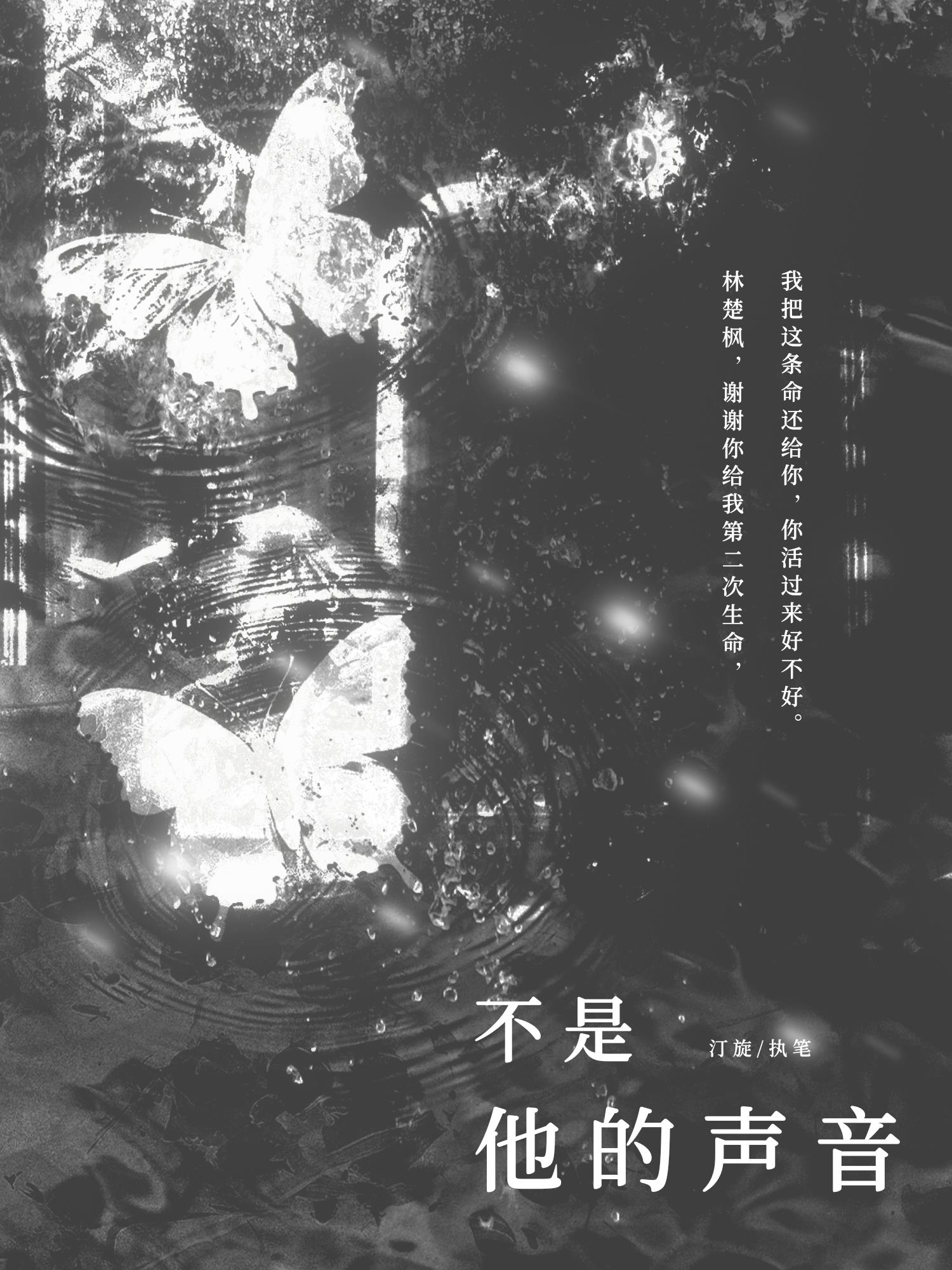 不是他的聲音